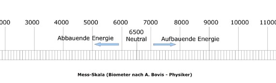 Die Bovis-Skala